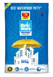 WALLSEAL WATERPROOF PUTTY